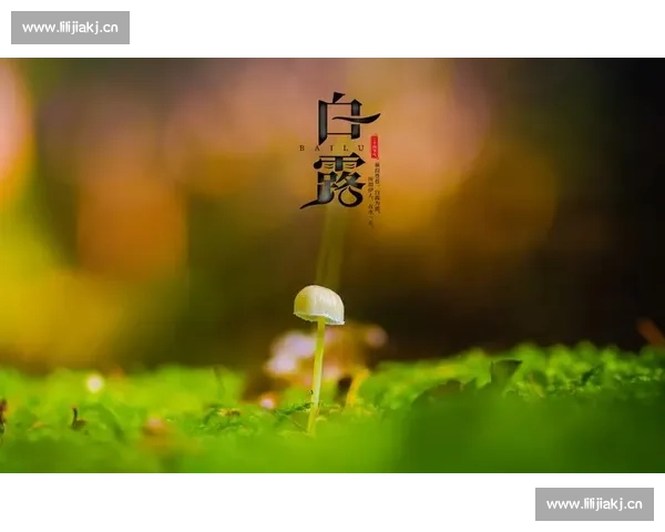 白露节气时节物候变化与传统农耕生活文化意蕴及四季节律之美探析